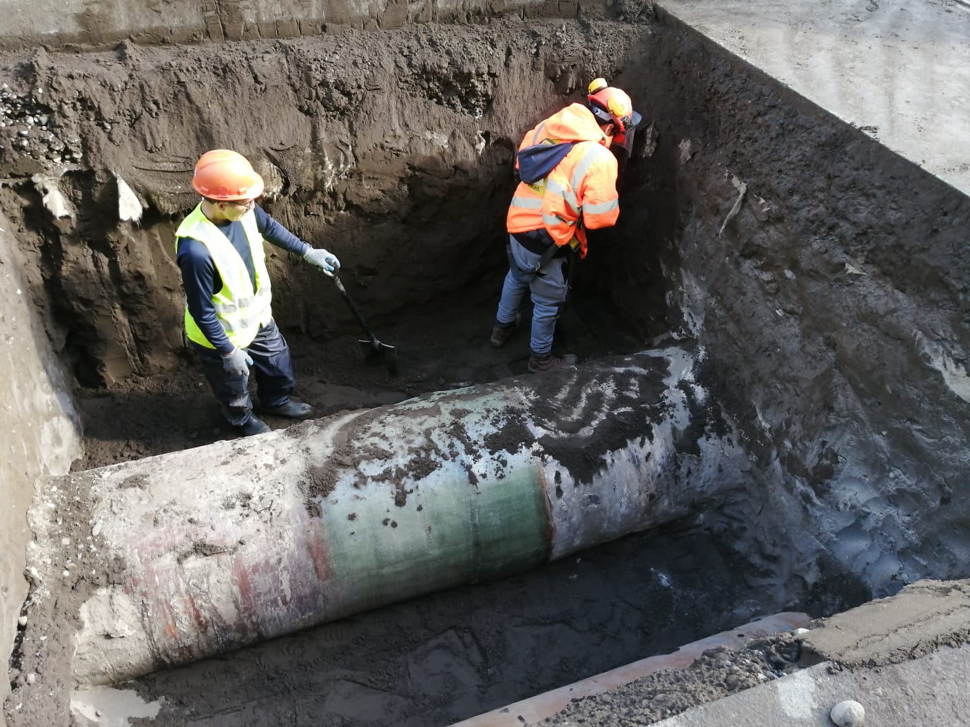 294763d1-855f-4e96-9d7b-a5221470b903