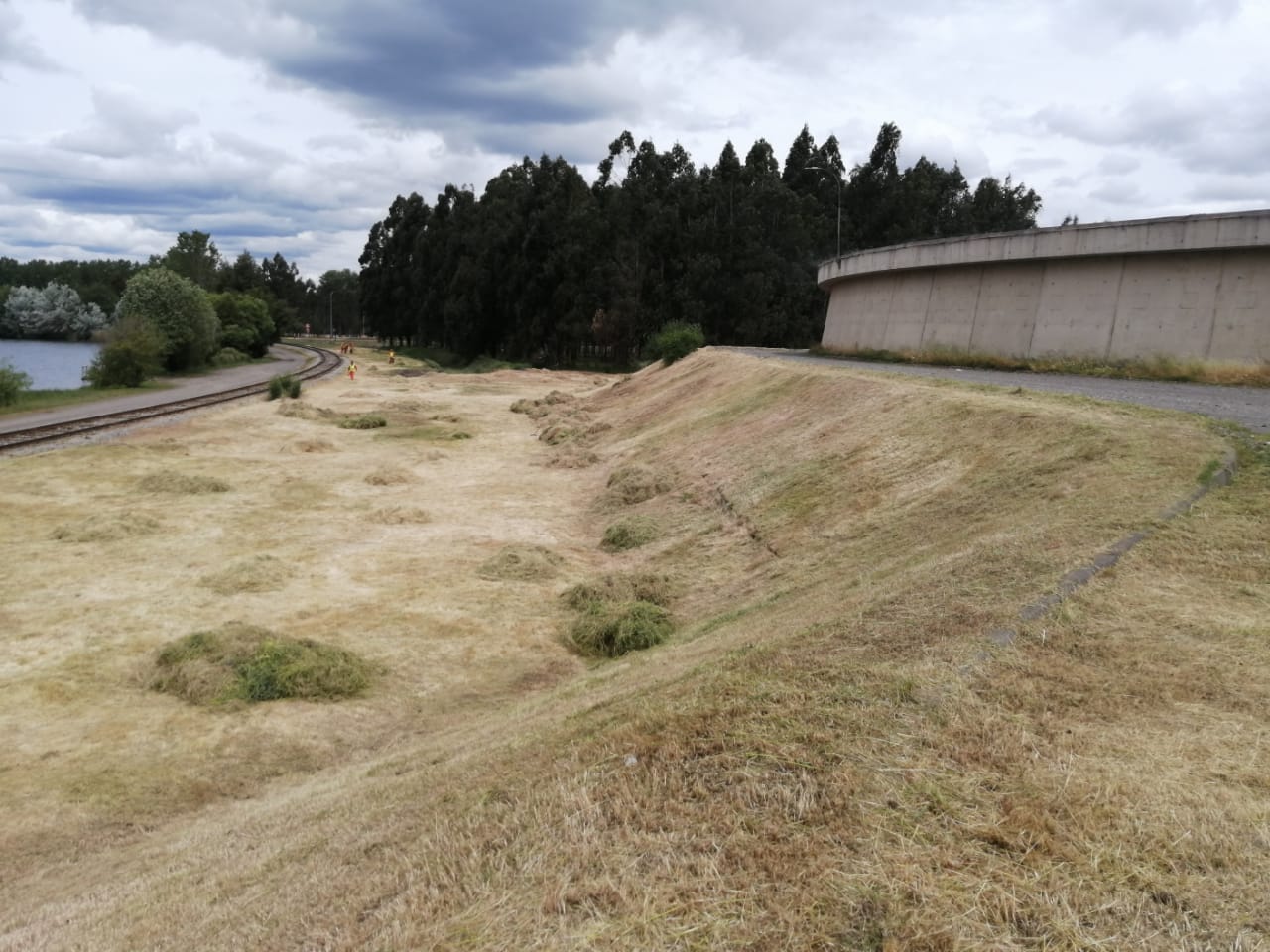 cb475e08-0697-4cf0-b884-b722f9bf1132