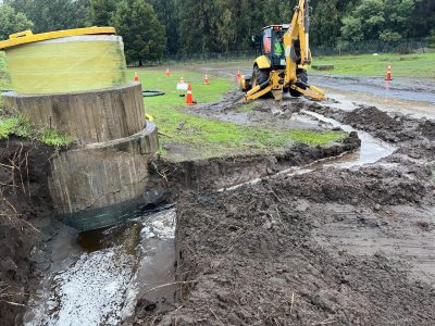 51511f4e-5b8a-4ed6-941d-43257d4ea59d